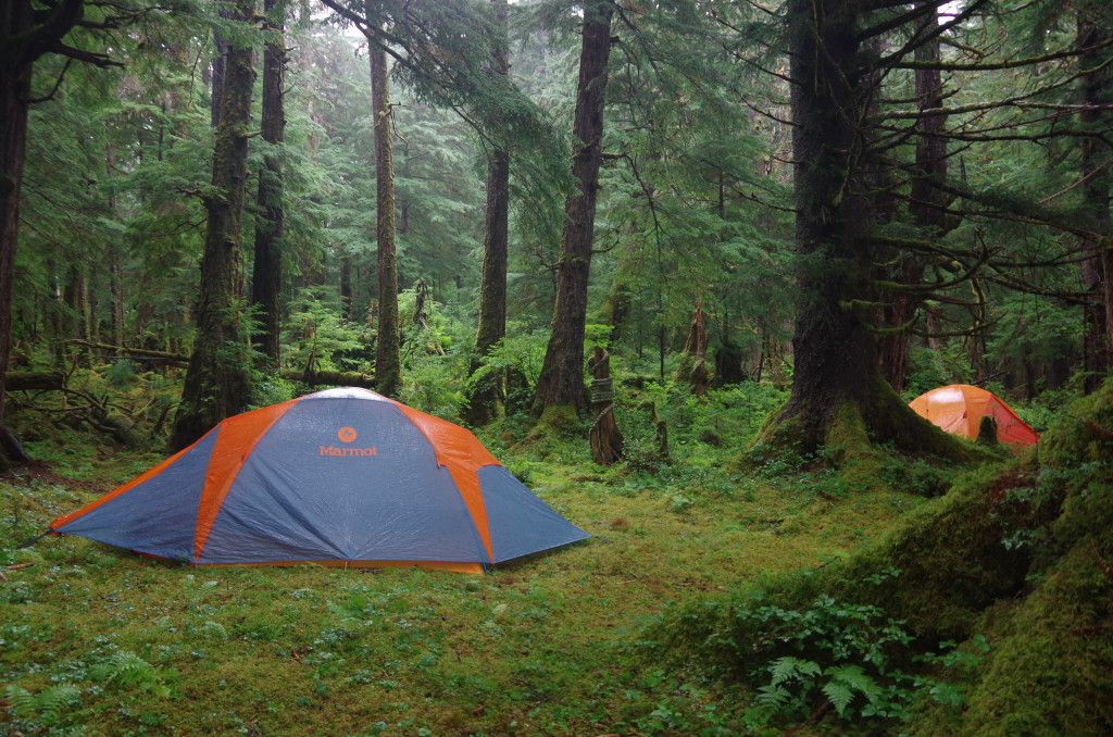 Two Marmot-brand tents set up in the temperate rainforest.