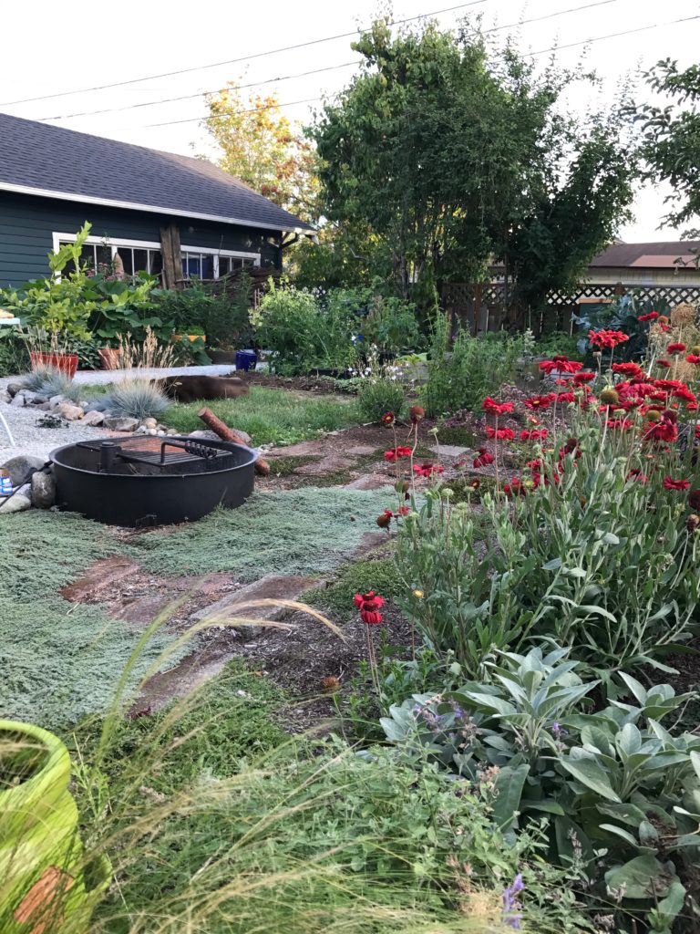 Photo of garden: firepit, gaillardia, Mexican feather grass